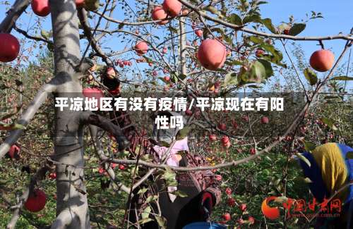 平凉地区有没有疫情/平凉现在有阳性吗-第2张图片