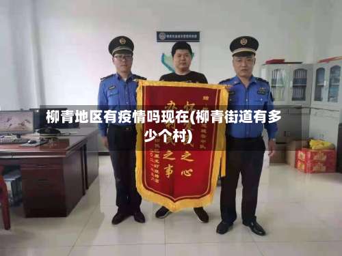 柳青地区有疫情吗现在(柳青街道有多少个村)-第1张图片