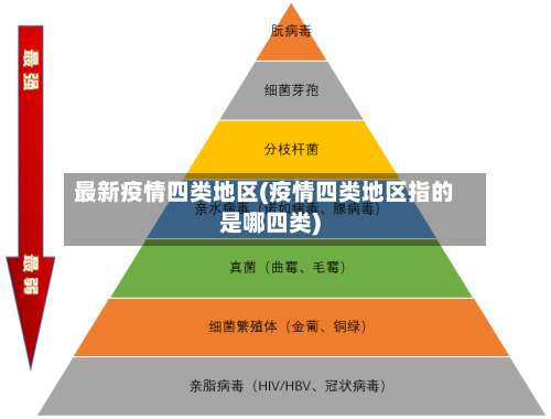 最新疫情四类地区(疫情四类地区指的是哪四类)-第2张图片