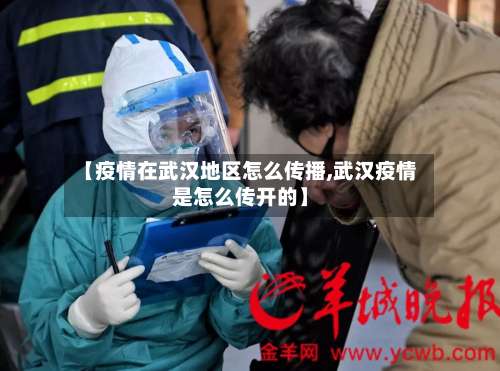 【疫情在武汉地区怎么传播,武汉疫情是怎么传开的】-第2张图片