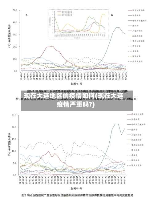 现在大连地区的疫情如何(现在大连疫情严重吗?)-第2张图片