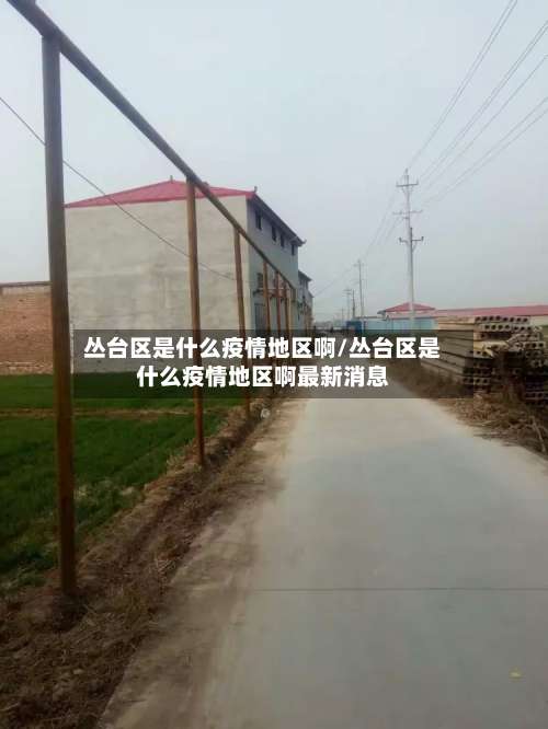丛台区是什么疫情地区啊/丛台区是什么疫情地区啊最新消息-第2张图片