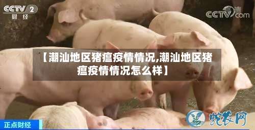 【潮汕地区猪瘟疫情情况,潮汕地区猪瘟疫情情况怎么样】-第1张图片