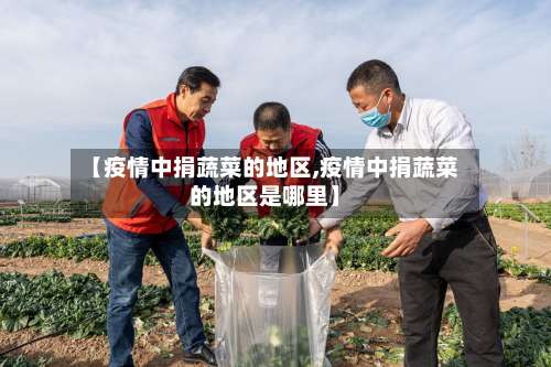 【疫情中捐蔬菜的地区,疫情中捐蔬菜的地区是哪里】-第1张图片
