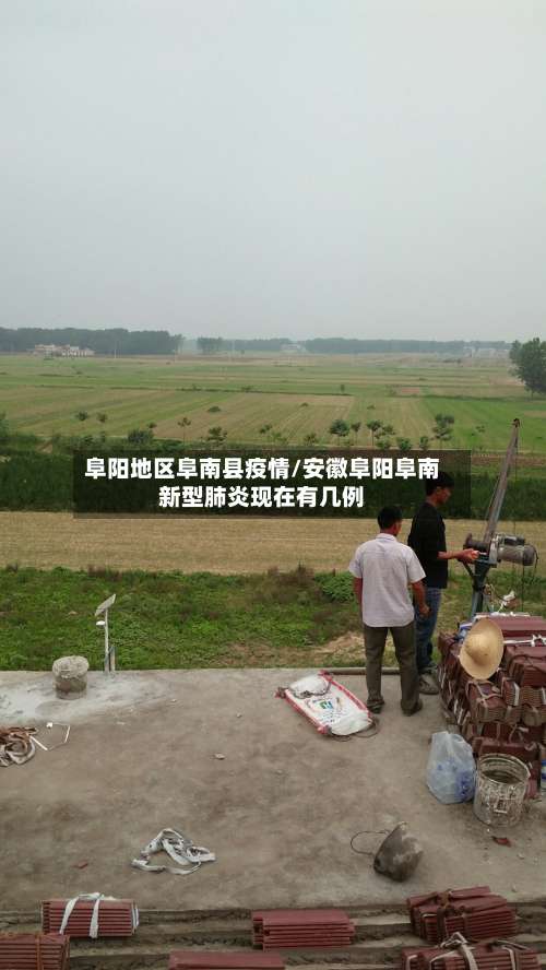 阜阳地区阜南县疫情/安徽阜阳阜南新型肺炎现在有几例-第3张图片