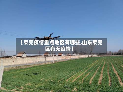 【莱芜疫情重点地区有哪些,山东莱芜区有无疫情】-第2张图片