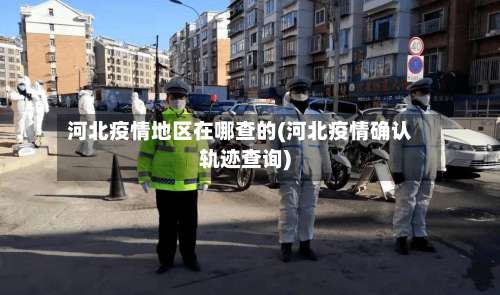 河北疫情地区在哪查的(河北疫情确认轨迹查询)-第2张图片