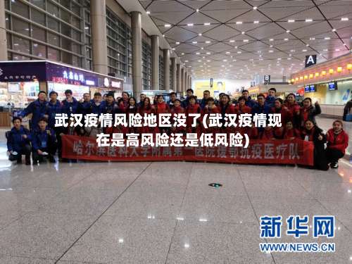 武汉疫情风险地区没了(武汉疫情现在是高风险还是低风险)-第1张图片