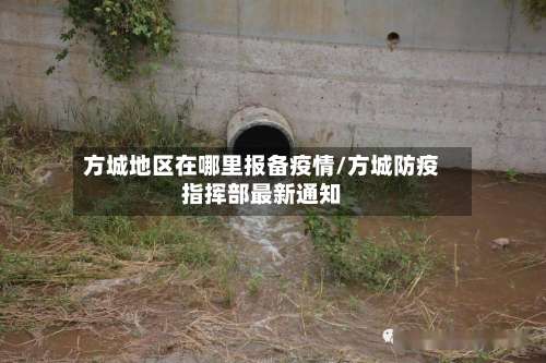 方城地区在哪里报备疫情/方城防疫指挥部最新通知-第2张图片