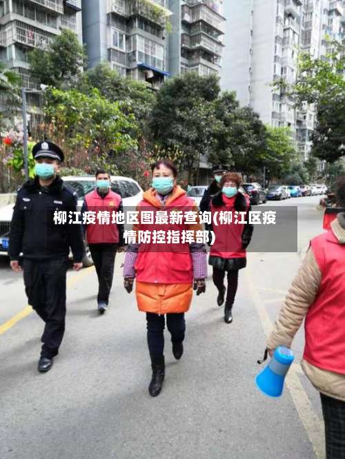 柳江疫情地区图最新查询(柳江区疫情防控指挥部)-第1张图片